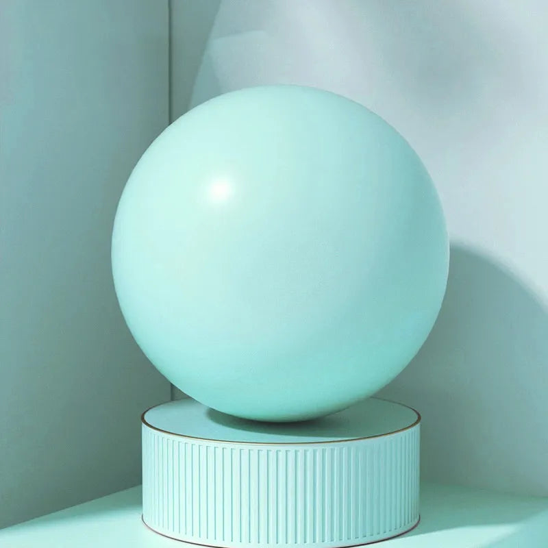 Pelvic Floor Muscle Training Fitness Ball